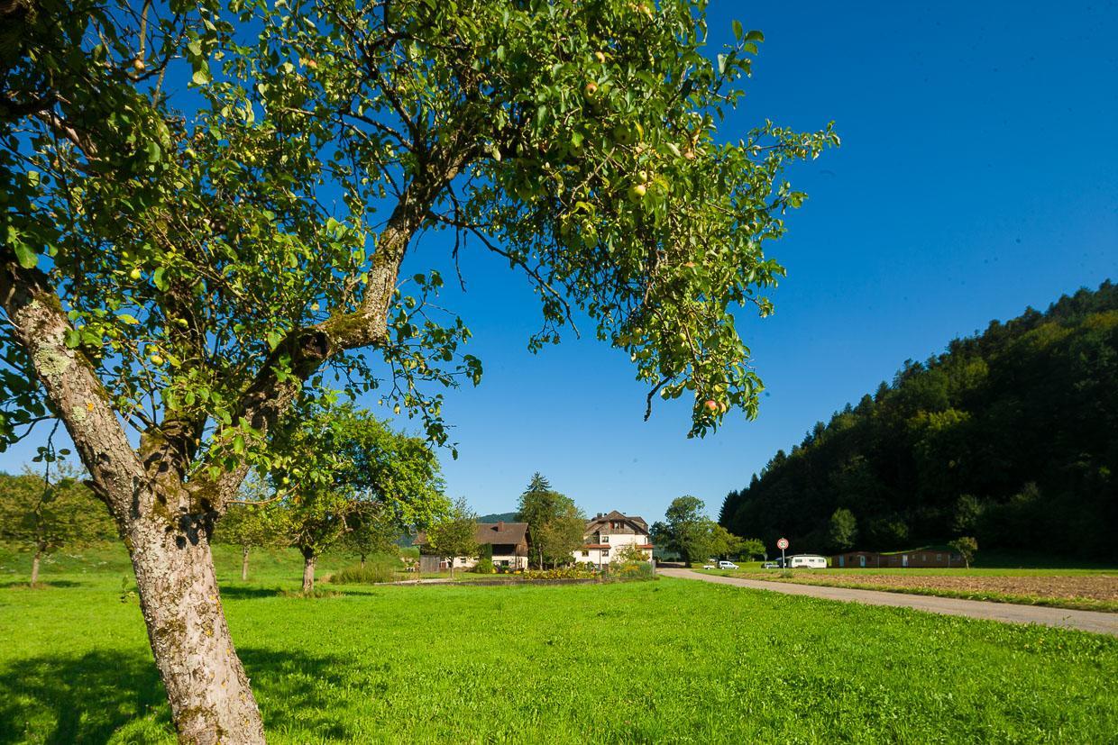 Landgasthof Kinzigstrand بِبيراخ المظهر الخارجي الصورة